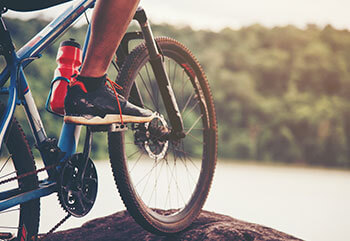 Mountain Bikes
