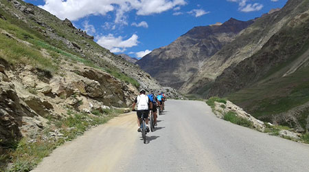 Cycles and Environment