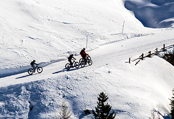 Cycling Guides